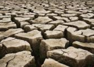 Drought-Odisha