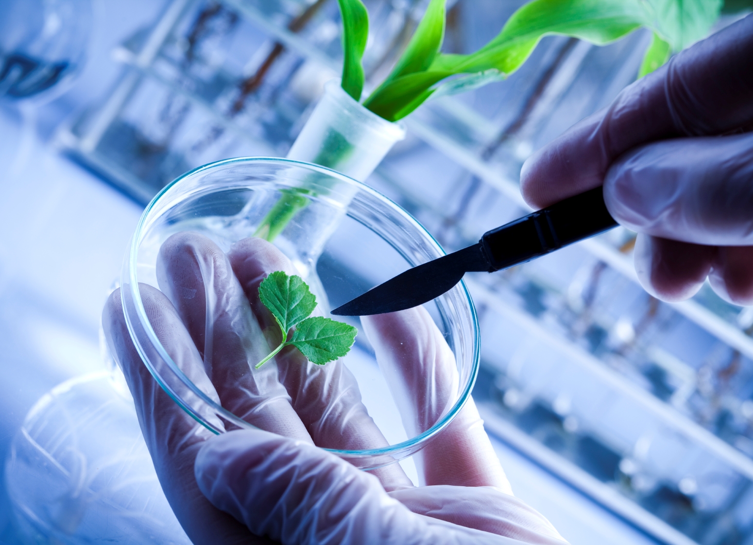 India aims for at least 1,500 Biotech startups Odisha News Insight