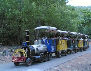 Children's Special Train