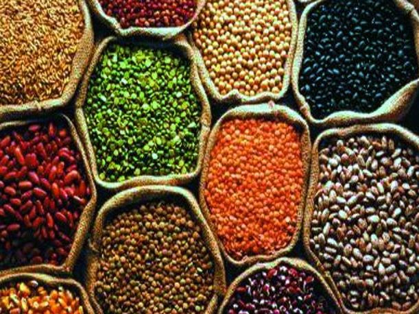pulses-of-india