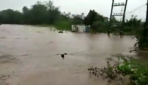 Cyclone-Titli-Floods