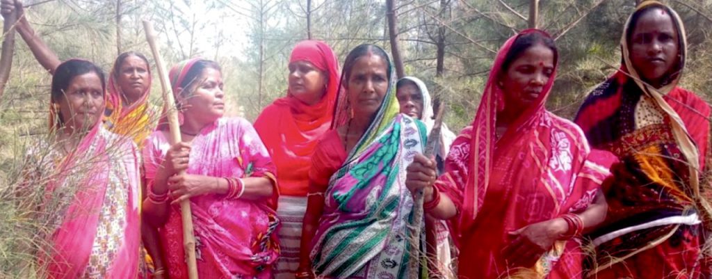 Odisha women protect a forest