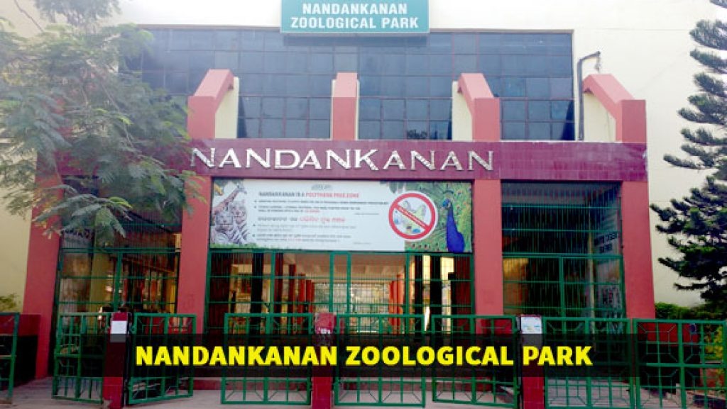 Nandankanan Reopens After Fani