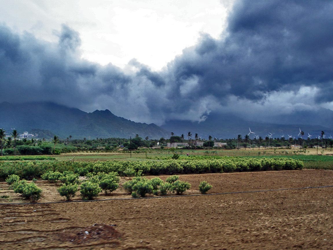 Odisha Monsoon 2019