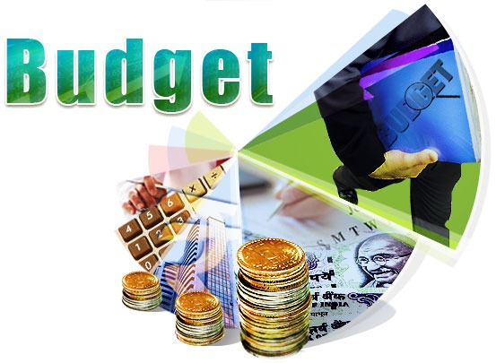Annual Budget Fiscal Odisha