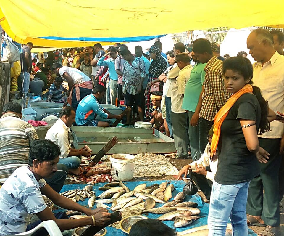 Odisha Chhada Khai Fish Market