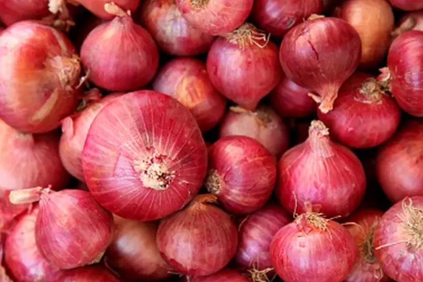 Odisha Onion Price