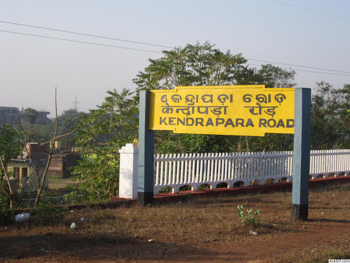 Odisha Kendrapara Doctors