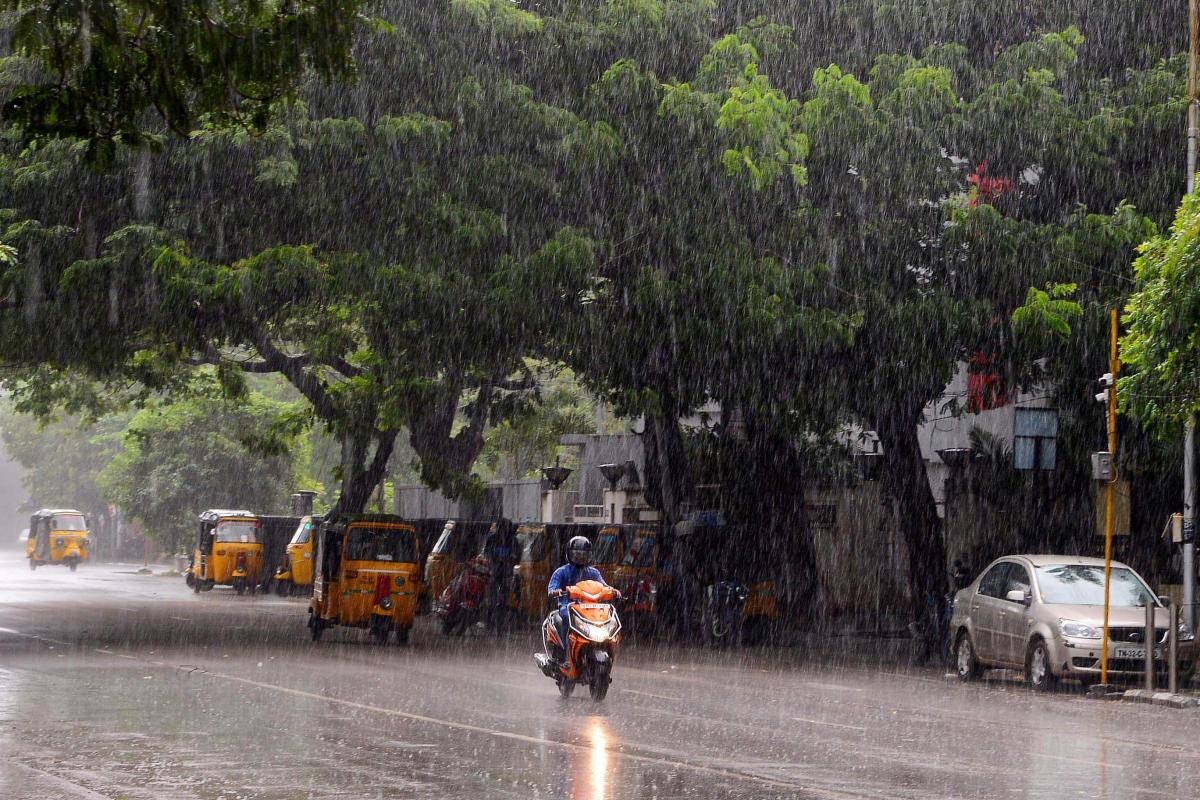 Odisha Weather Rainfall