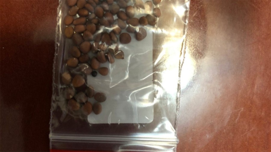 Mystery Seeds From China
