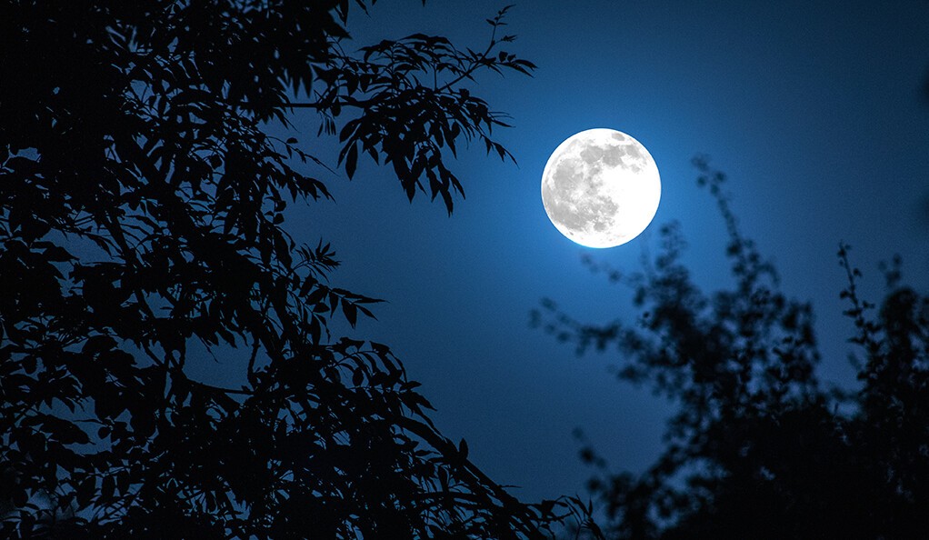 Rare 'Blue Moon' Visible Tomorrow; Know The Details Odisha News Insight