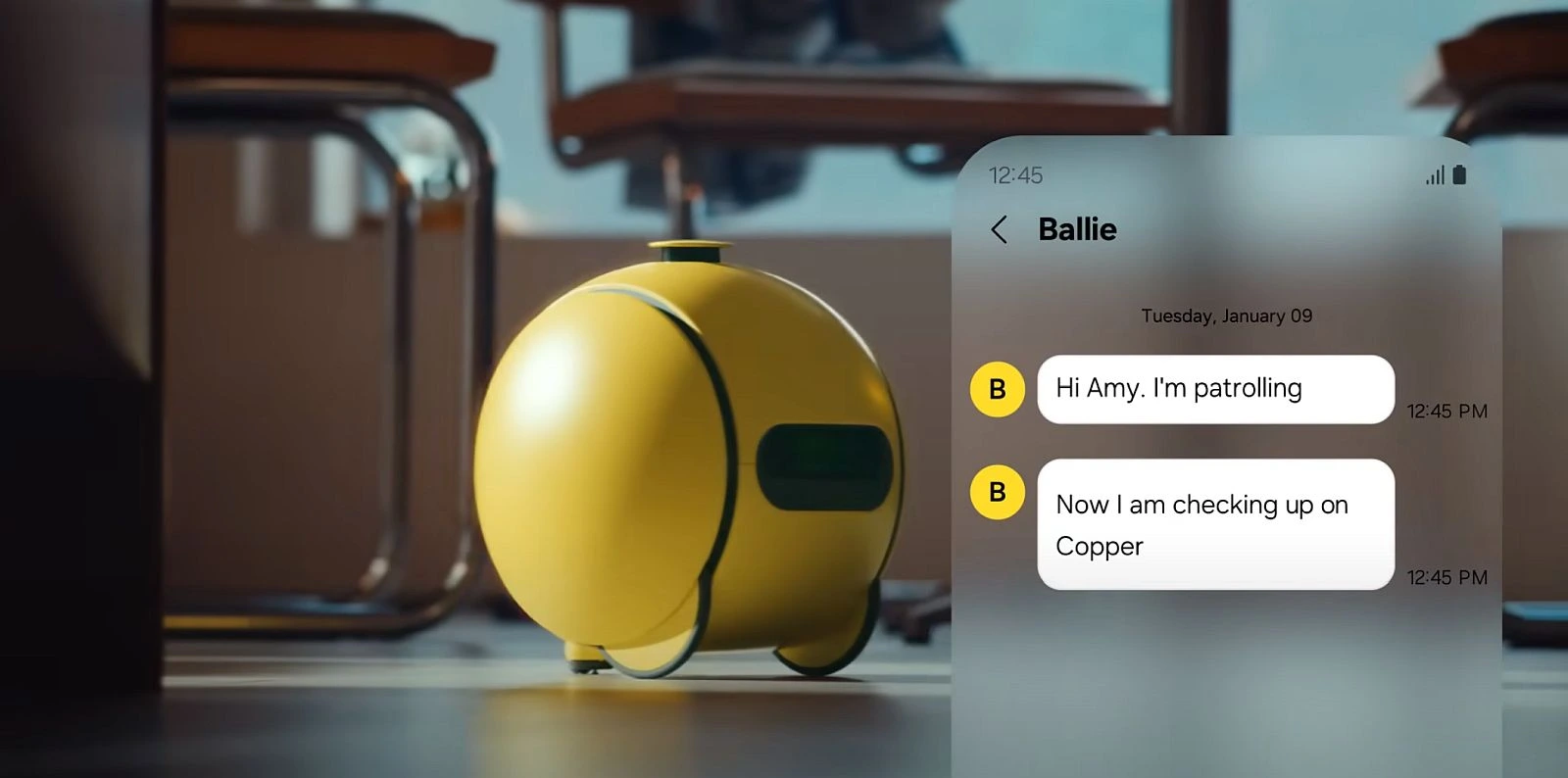 Robot Bola