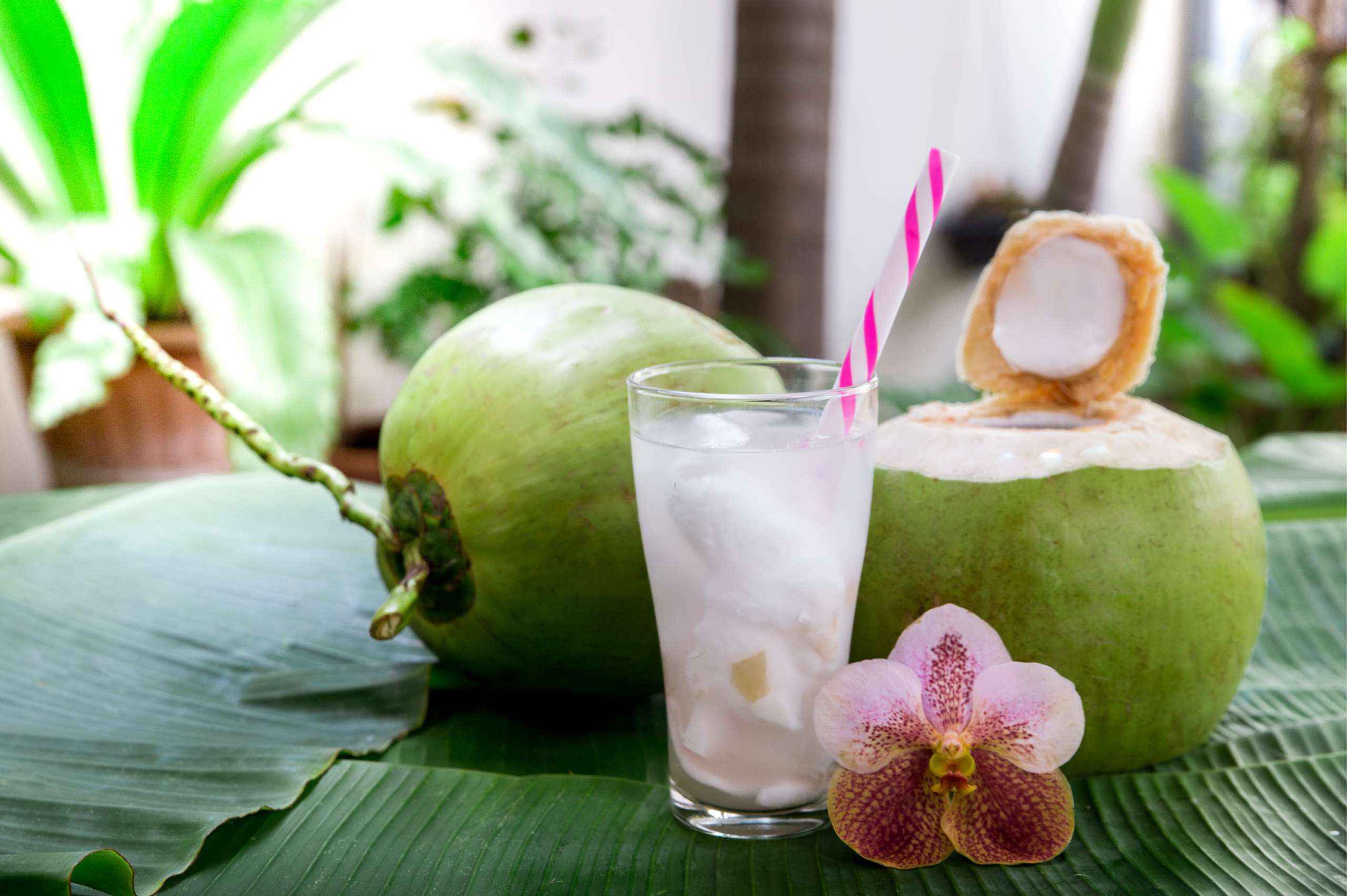 Air Kelapa