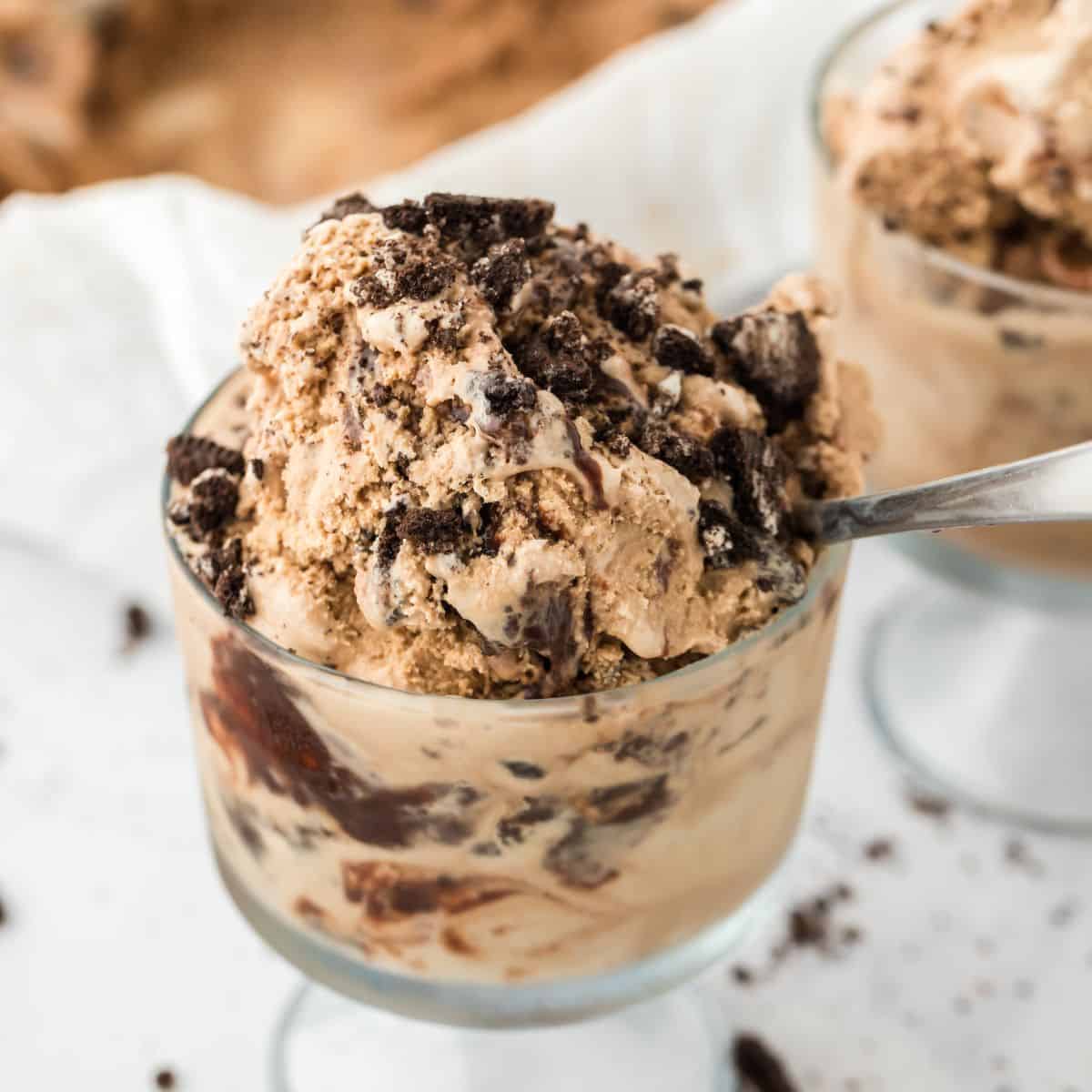Ice Cream Mocha Fudge