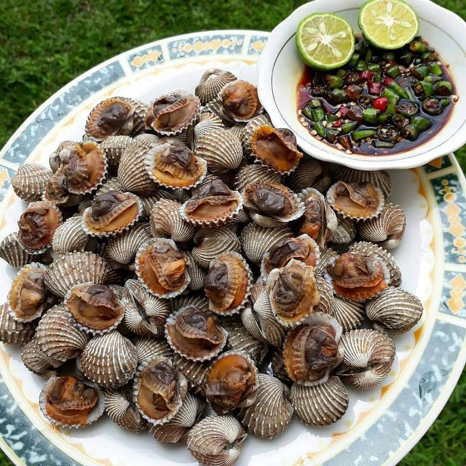 Kerang Rebus