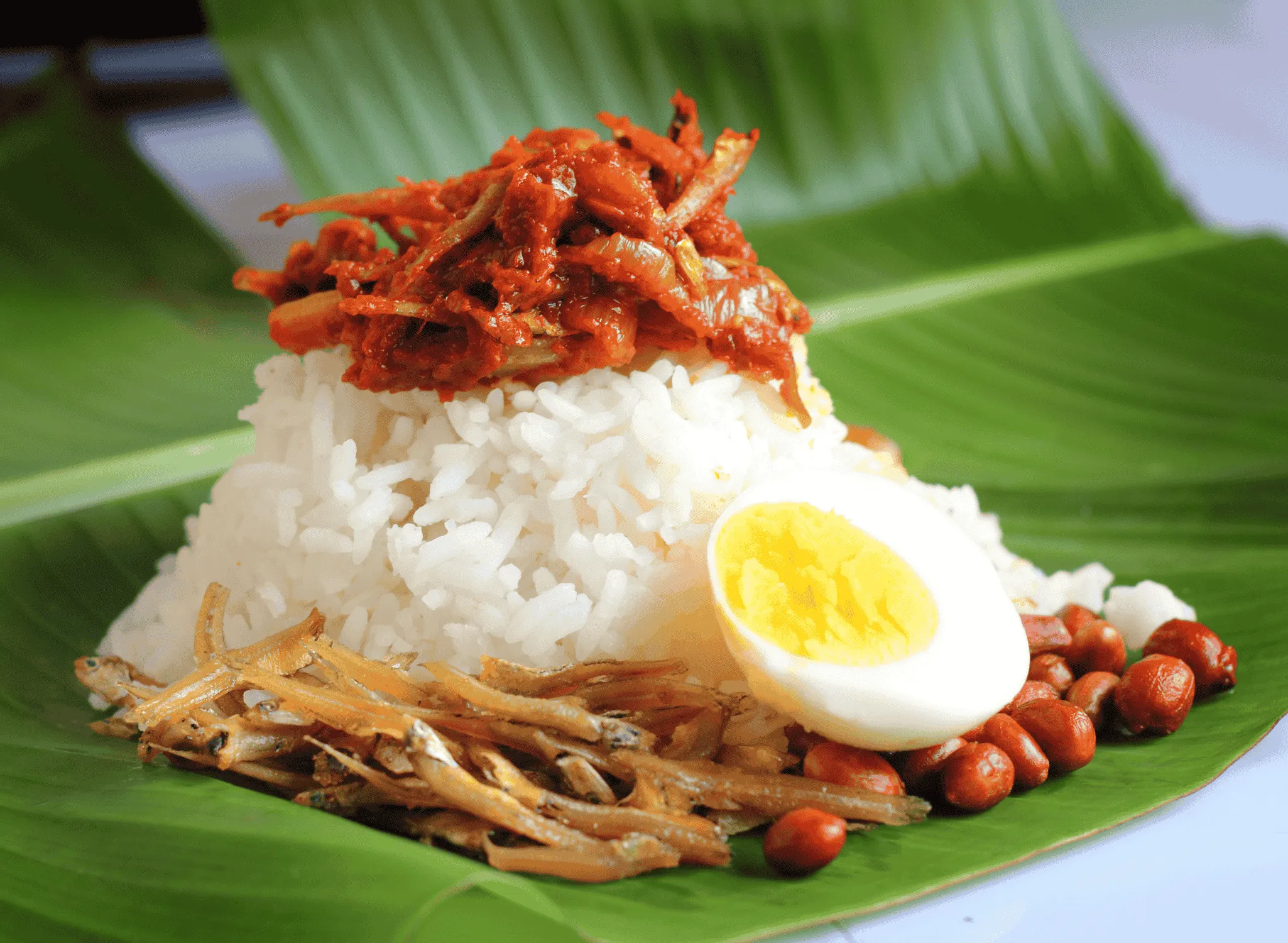 Nasi Lemak