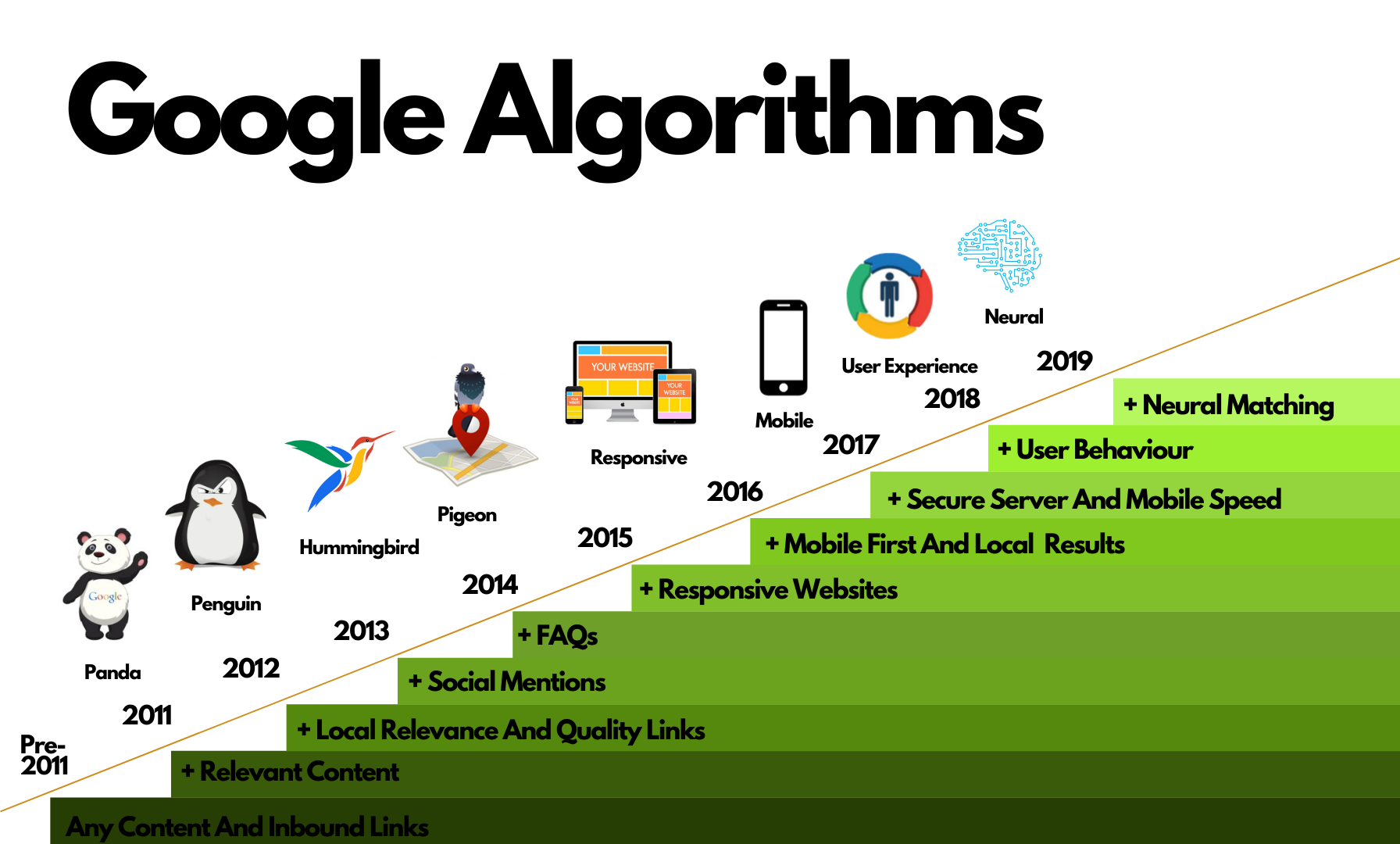 Google Algorithm Insights