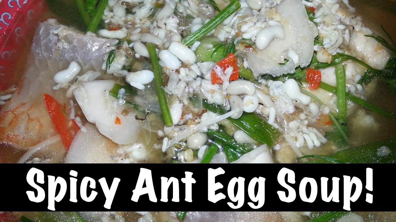 Ant Egg Soup