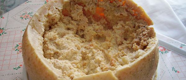 Casu Marzu