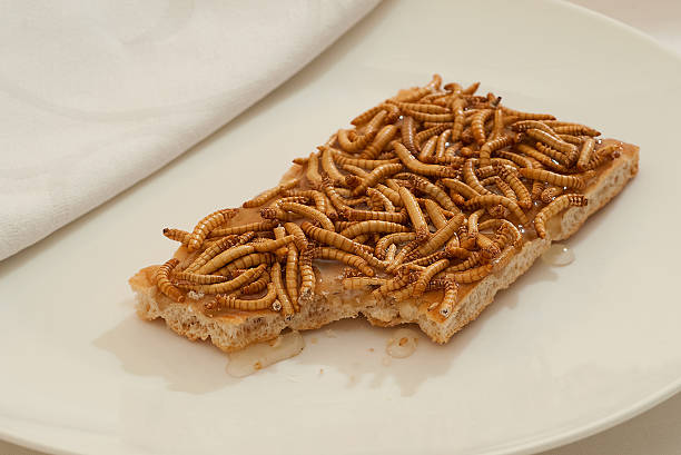 Mealworm Snack