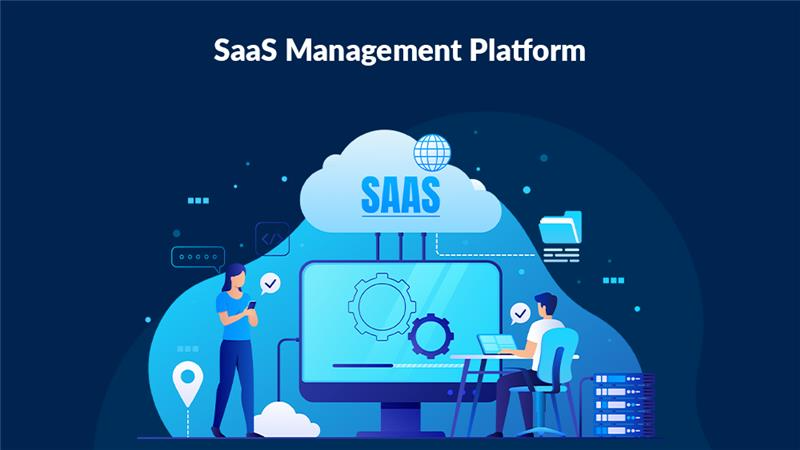 SaaS Platforms
